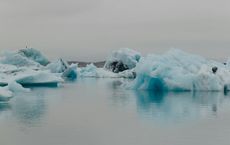 Article Image for Climate Migration and Its Social Implications