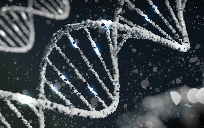 Article Image for Genomic Fitness Platforms: Biotech’s Leap into Personalized Training