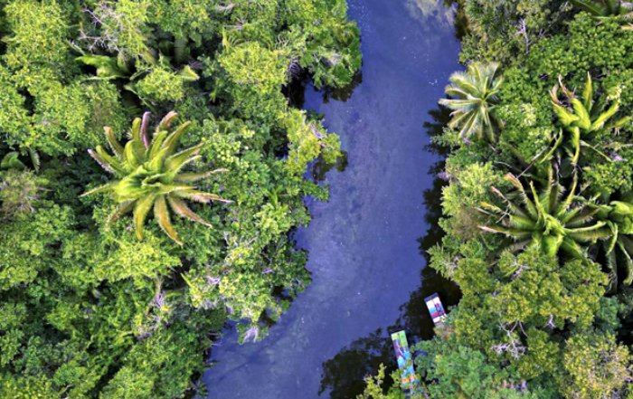 Article Image for Global Efforts to Protect Biodiversity and Natural Resources