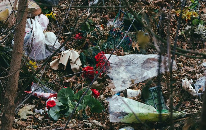 Article Image for Microplastics Pollution and Human Health