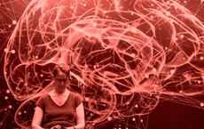 Article Image for Nutrition for Brain Health and Productivity