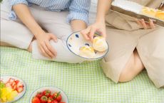 Article Image for Nutrition Strategies for Immune System Support