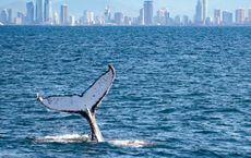 Article Image for Ocean-Based Renewable Energy Projects