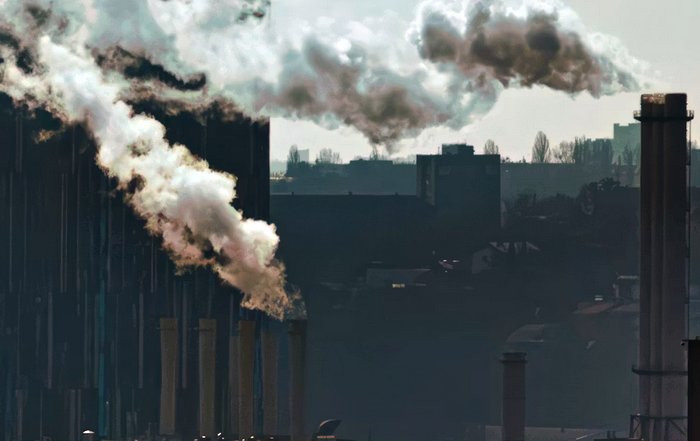 Article Image for The Economic Impact of Environmental Responsibility