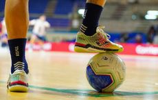 Article Image for The Economics of Professional Sports Leagues