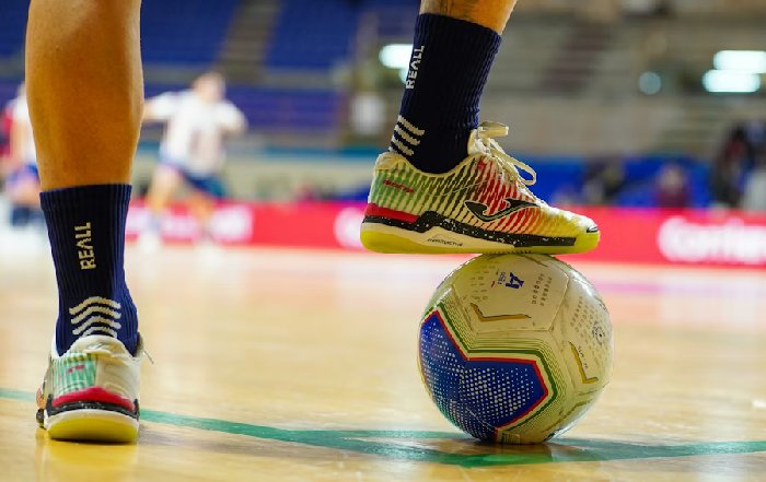 Article Image for The Economics of Professional Sports Leagues