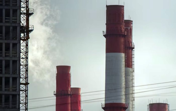 Article Image for The Impact of Climate Policy on Global Business