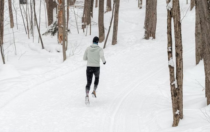 Article Image for The Neuroscience of Habit Formation and Fitness