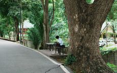 Article Image for Urban Green Spaces and Community Health