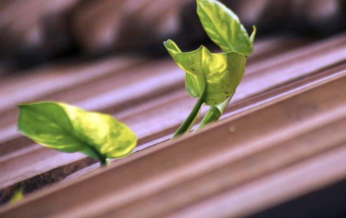 Article Image for Why Sustainable Business Practices Are No Longer Optional